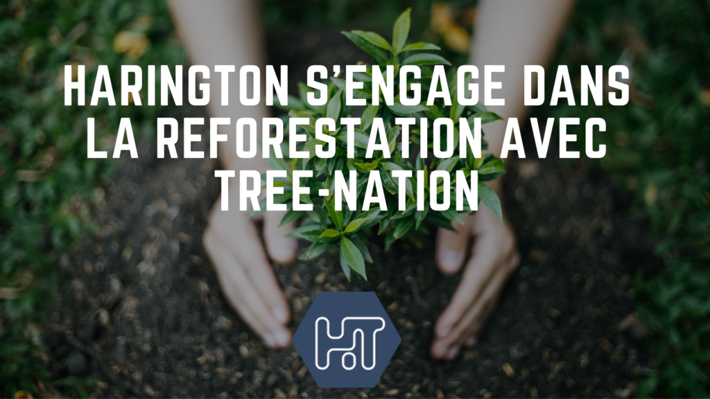 Harington s’engage dans la reforestation de la planète pour compenser ses émissions de CO2 avec Tree-nation